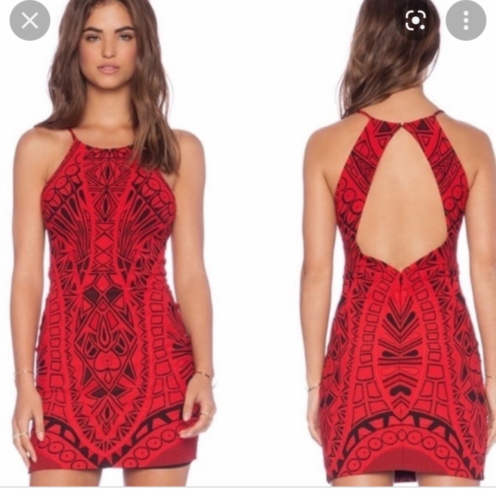 Parker bodycon dress